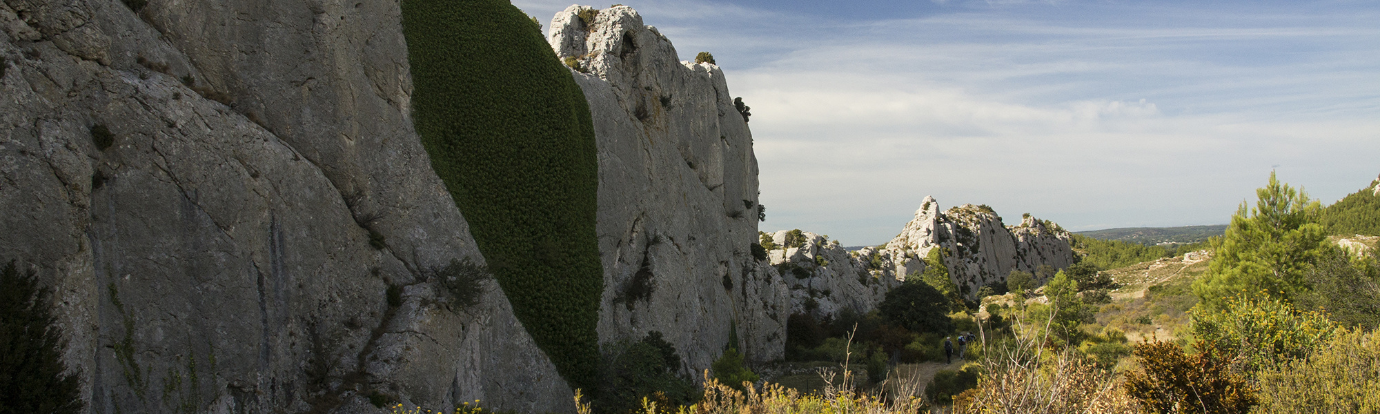 Sortie nature : Biodiversité aux Caisses de Jean-Jean