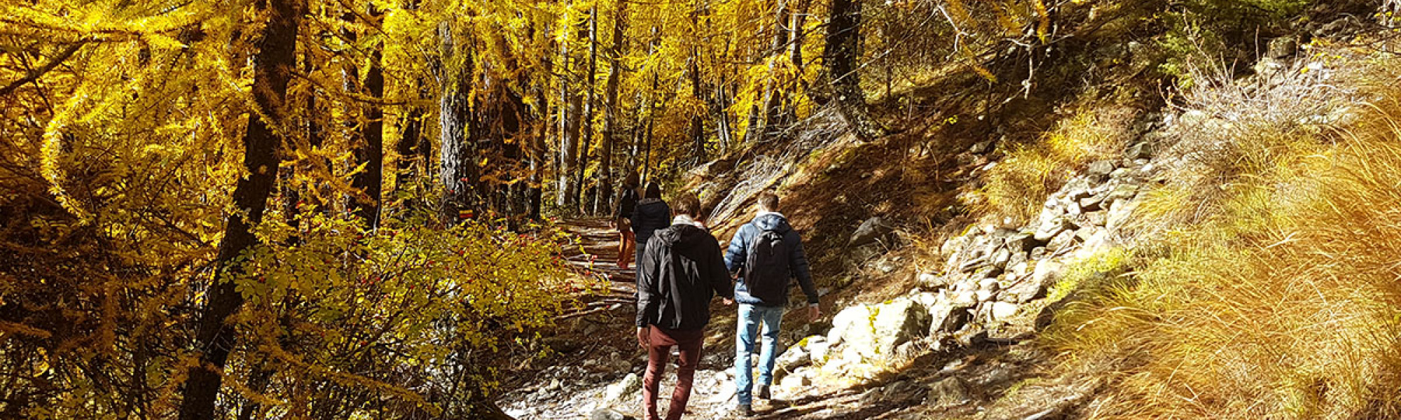 Balade L'homme et le Loup