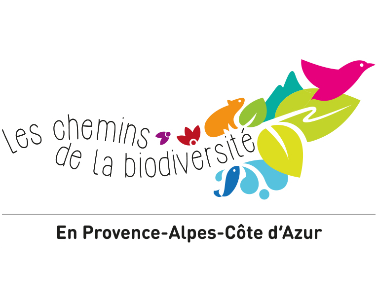 Les chemins de la biodiversité