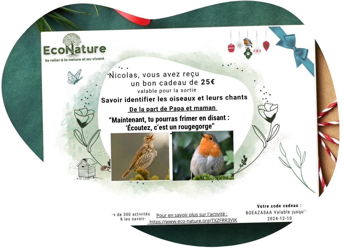 Une carte cadeau durable et engagée pour faire découvrir la nature et les savoir-faire écolos