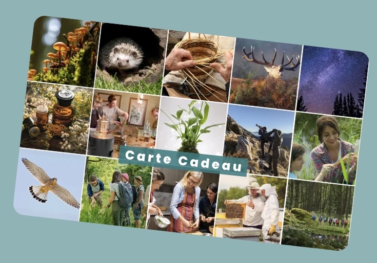 Carte cadeau Fête des Mères