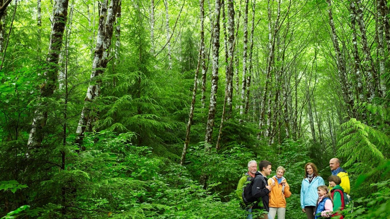 Les activités Nature proposés par Sébastien - Guide ornithologue